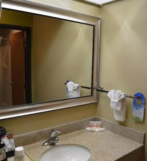 اتاق استاندارد با تخت بزرگ برای معلولان, Days Inn By Wyndham Carlsbad