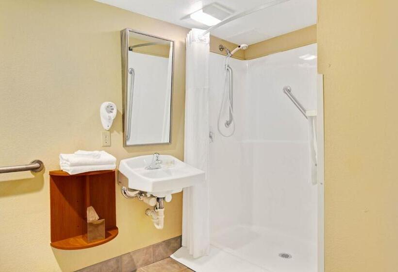 장애인을 위한 스탠다드 룸, Windsor