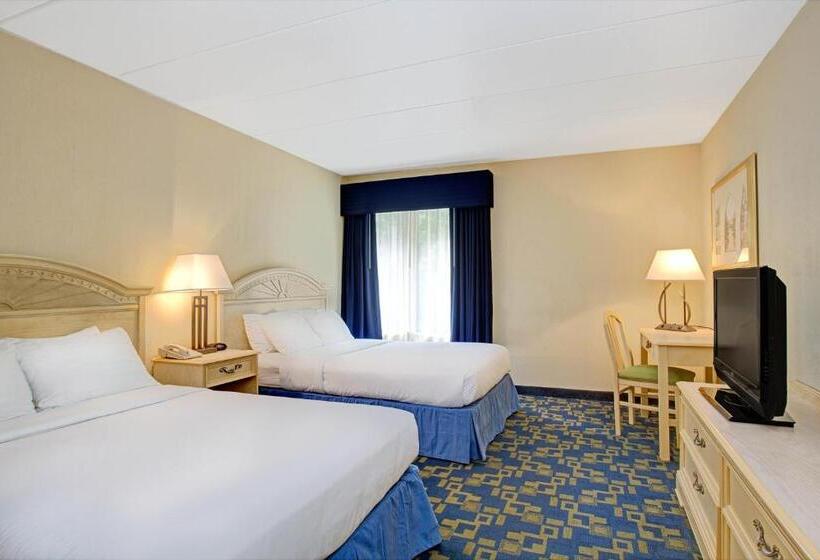 스탠다드 룸 더블 침대 2개, Windsor