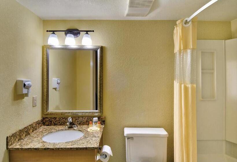 스탠다드 룸, Windsor