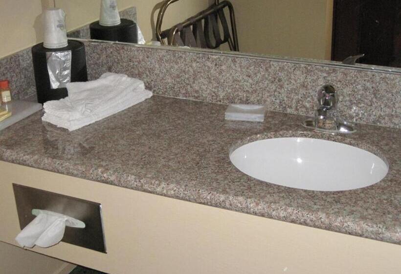 장애인을 위한 킹사이즈 침대 스탠다드 룸, Days Inn By Wyndham Westley