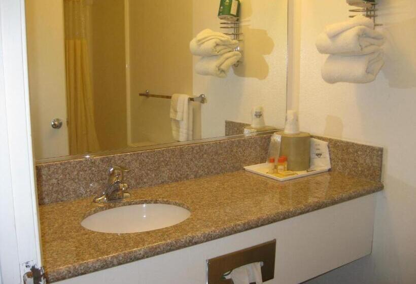 장애인을 위한 킹사이즈 침대 스탠다드 룸, Days Inn By Wyndham Westley