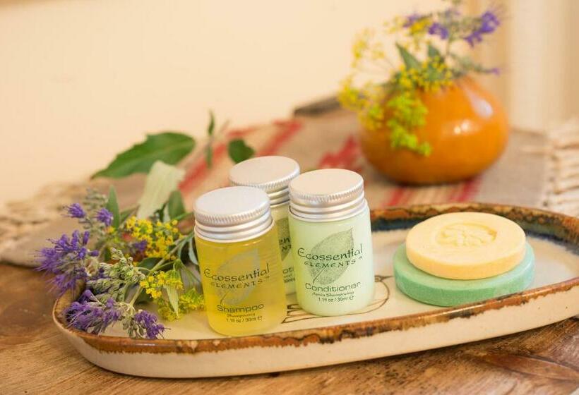 Номер Deluxe, Inn Of The Turquoise Bear