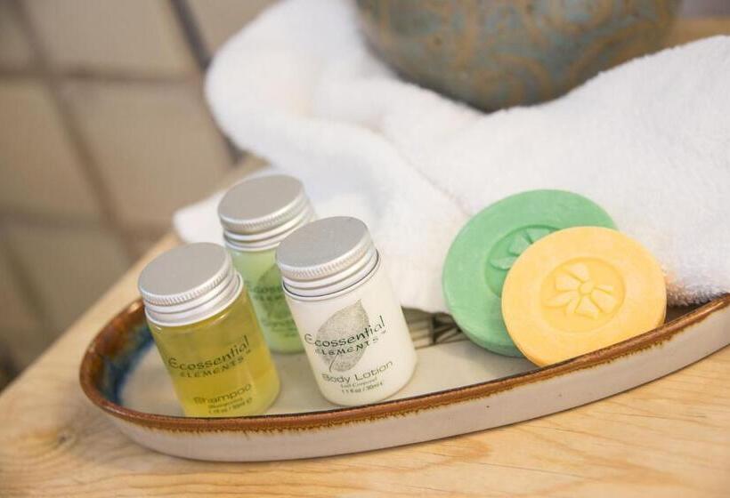 Номер Премиум, Inn Of The Turquoise Bear