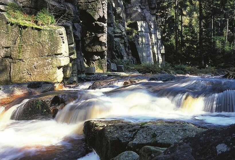 Номер Стандарт Индивидуальный, Schwarzbeerschanke Pobershau
