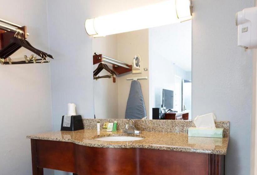 带大床的标准间, Sunrise Inn Williamstown