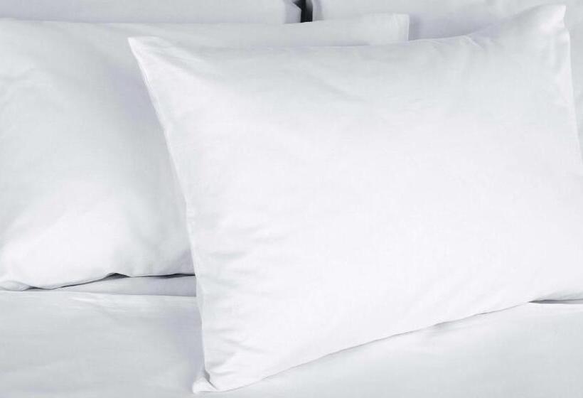 带2个双人床的标准工作室, Sunrise Inn Williamstown