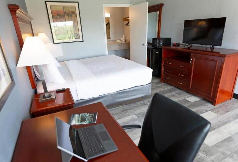 장애인을 위한 킹사이즈 침대 스탠다드 룸, Sunrise Inn Williamstown