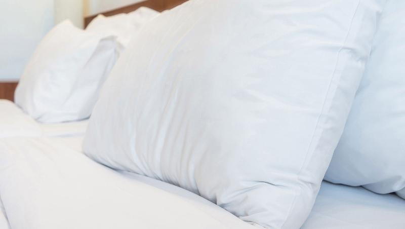 标准间, Sunrise Inn Williamstown