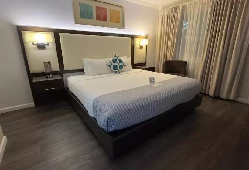 اتاق استاندارد با تخت بزرگ, The Palo Alto Inn