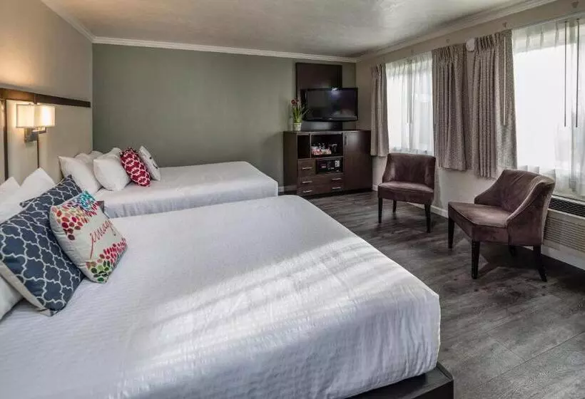 اتاق استاندارد, The Palo Alto Inn