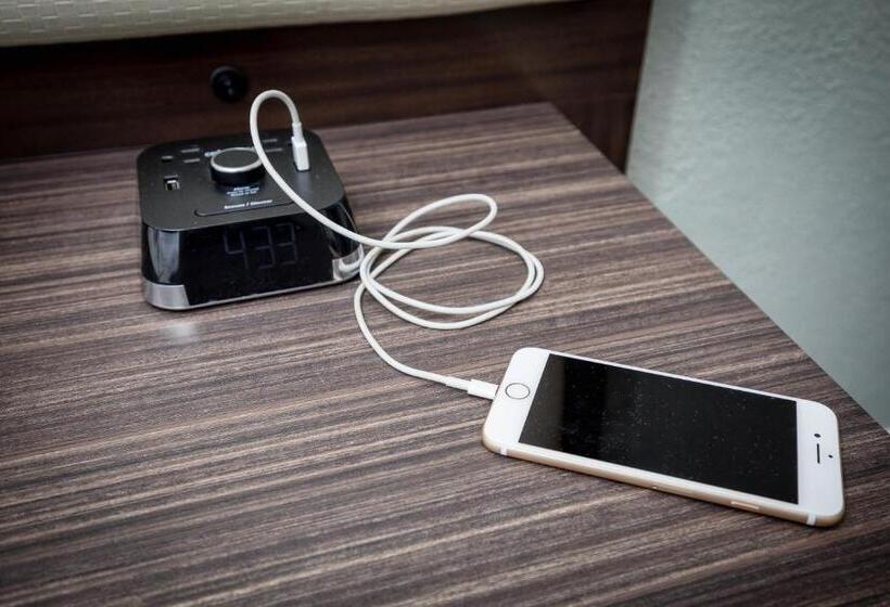 适合残疾人使用的标准间, The Palo Alto Inn