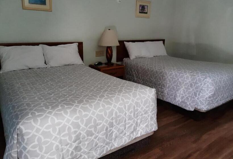 带2个双人床的标准工作室, Villa Fontana Inn