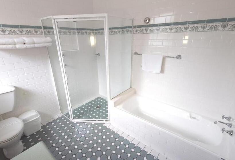 クイーンサイズベッドのスタンダードルーム, Young Federation Motor Inn And Services Club