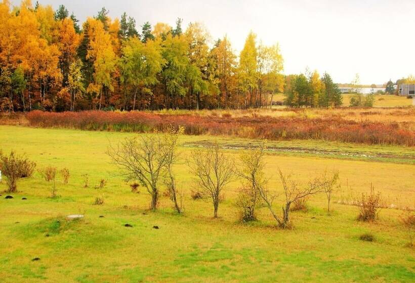 اتاق سوپریور خانوادگی, Airport Hotel Mara