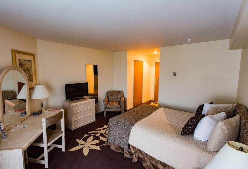 اتاق استاندارد, Airport Hotel Mara