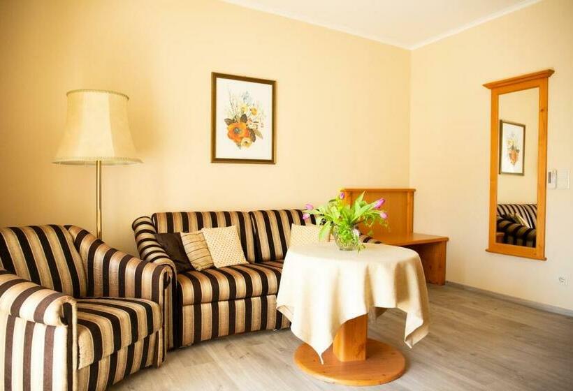 جناح, Birkenhof Gols   B & B   Wohlfühl Hotel Mit Wochenend Restaurant