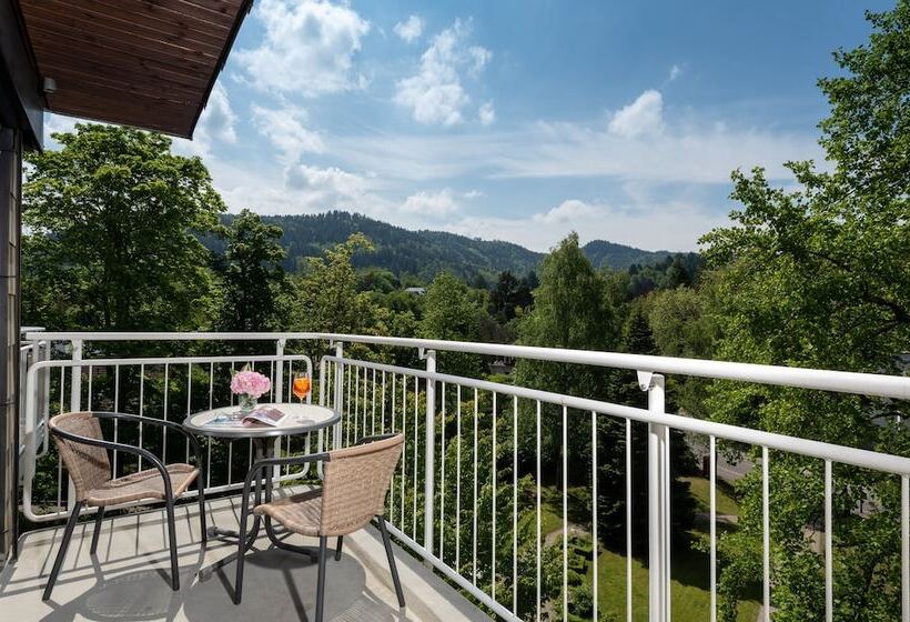 수피리어 룸, Leonardo Royal Hotel Baden  Baden