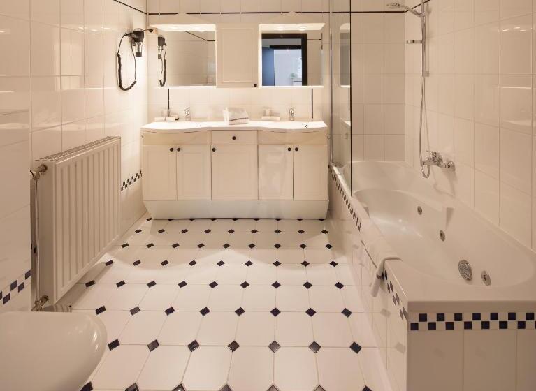 Апартаменты 1 Спальня Нижний Этаж, Ter Elst