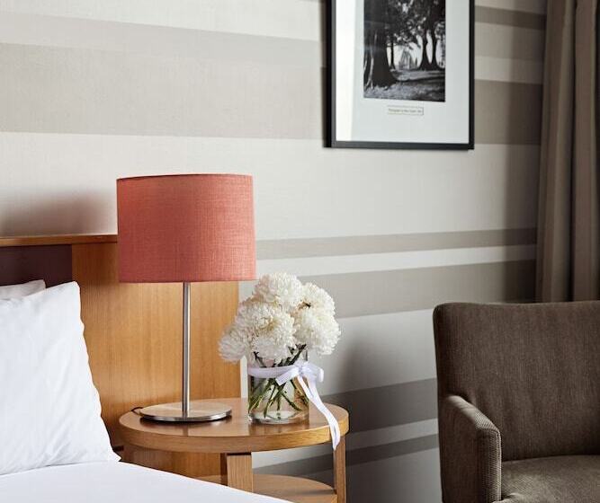 اتاق سوپریور با چشم‌انداز, View Sydney