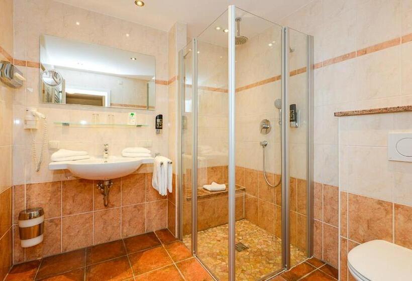 غرفة قياسية فردية, Stoll S Hotel Alpina