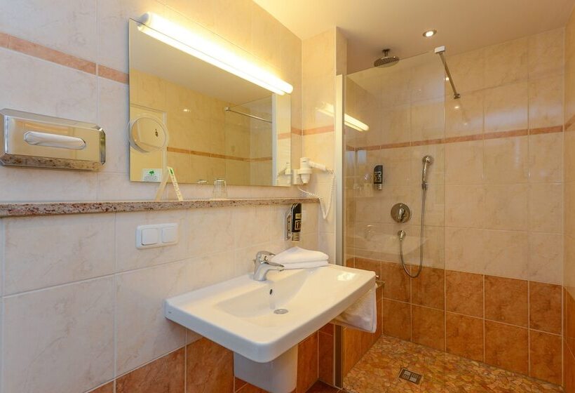 חדר סטנדרט יחיד, Stoll S Hotel Alpina