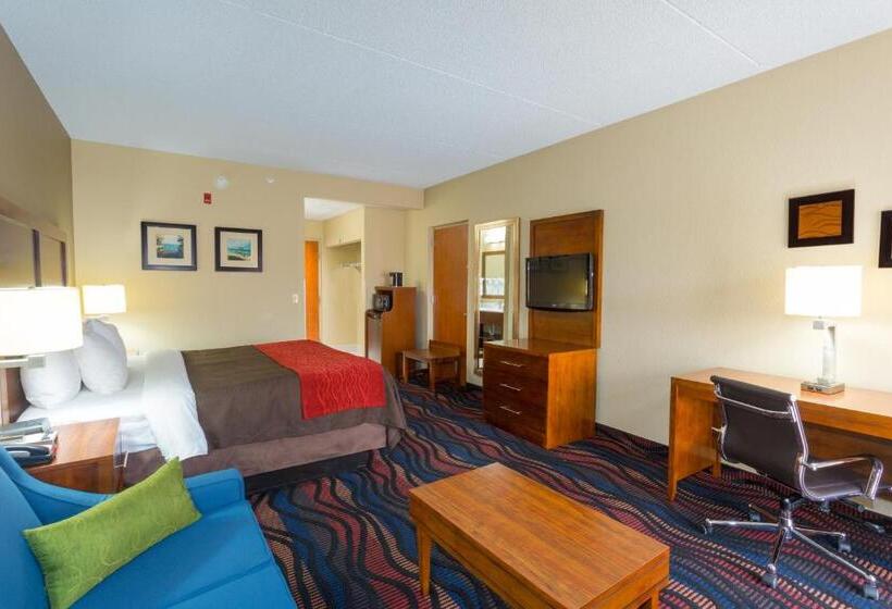 غرفة قياسية سرير كينج, Baymont By Wyndham Bonita Springs