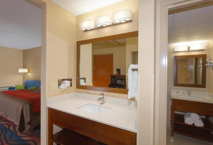 غرفة قياسية سرير كينج, Baymont By Wyndham Bonita Springs