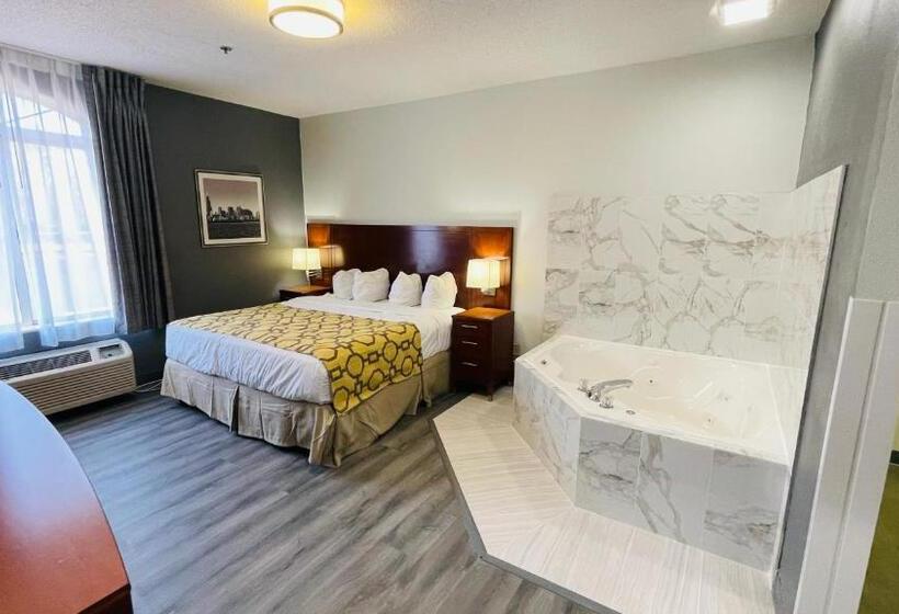 اتاق استاندارد با تخت بزرگ, Baymont By Wyndham Chicago/calumet City