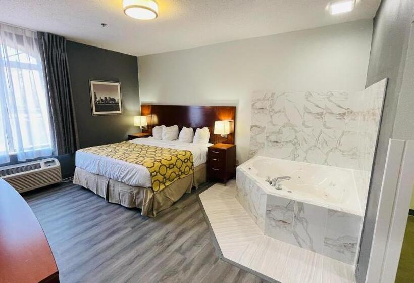 اتاق استاندارد با تخت بزرگ, Baymont By Wyndham Chicago/calumet City