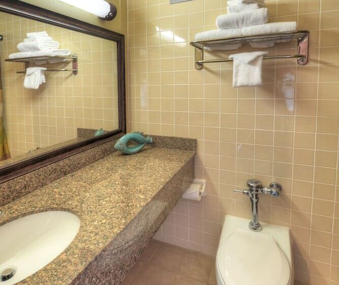 غرفه قياسيه سريرين مزدوجين, Best Western Aku Tiki Inn