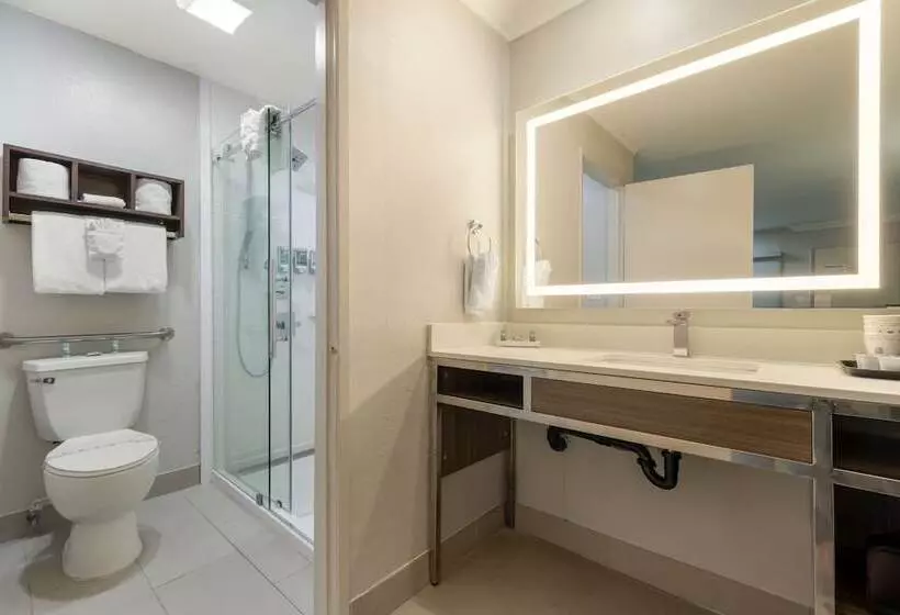 Standard-huone 2 Parivuodetta, Best Western Courtesy Inn Hotel Anaheim Resort At The Park