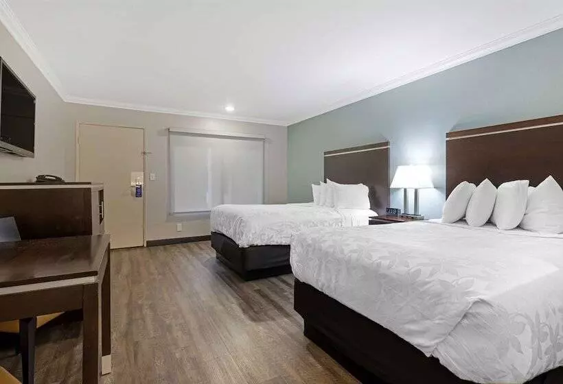 Standard-huone 2 Parivuodetta, Best Western Courtesy Inn Hotel Anaheim Resort At The Park
