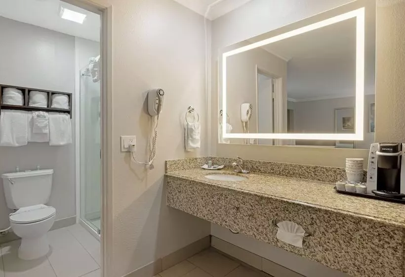 Standard-huone, Best Western Courtesy Inn Hotel Anaheim Resort At The Park