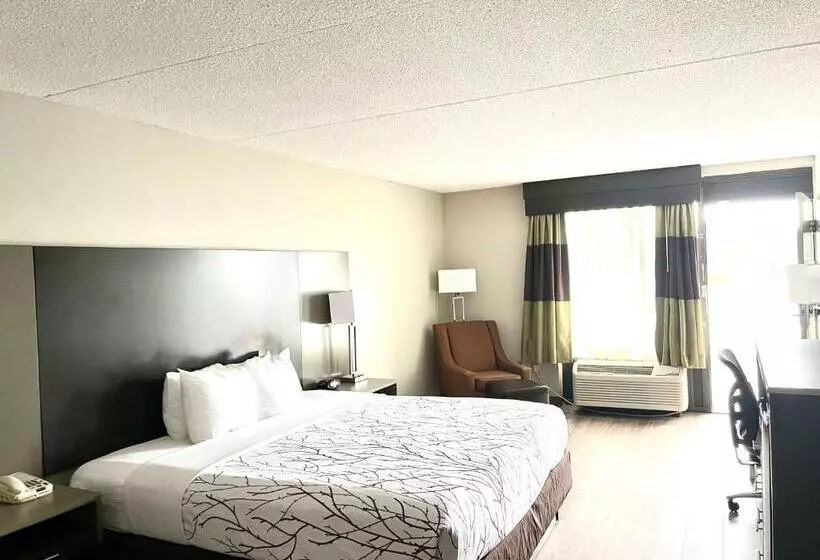Standard-huone King-vuode, Best Western   Fayetteville