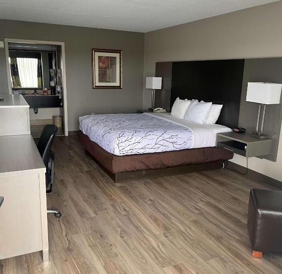 غرفة قياسية سرير كينج, Best Western   Fayetteville