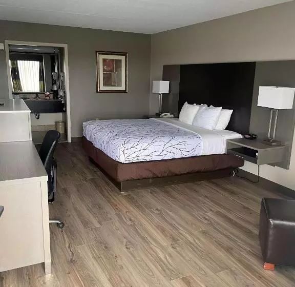 Standard-huone King-vuode, Best Western   Fayetteville