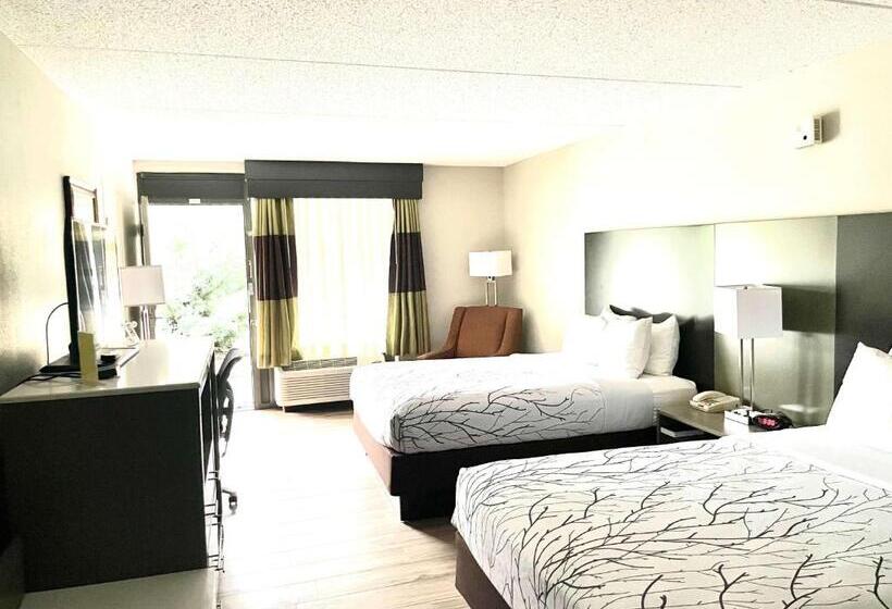 غرفة قياسية, Best Western   Fayetteville