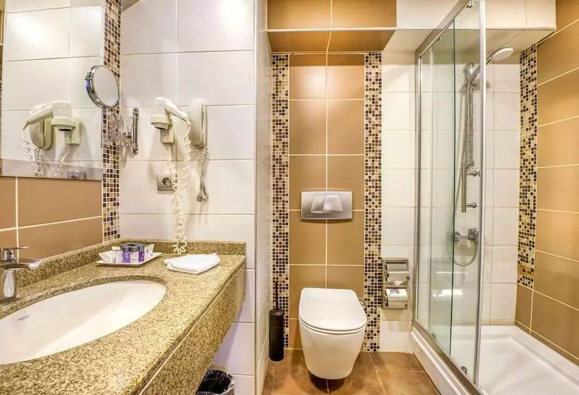 スタンダードルーム, Best Western Plus Hotel Konak