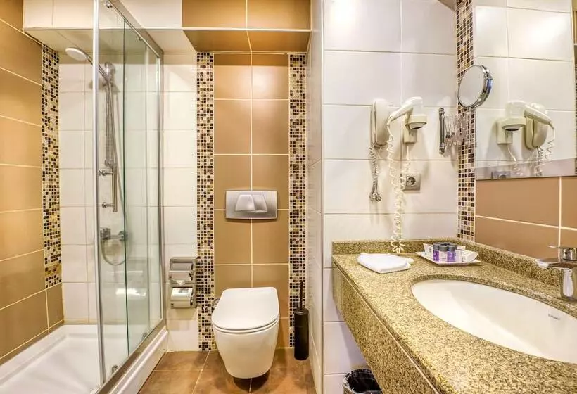 スタンダードルーム, Best Western Plus Hotel Konak