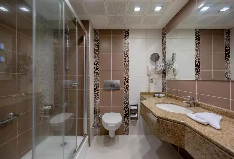 スタンダードルーム, Best Western Plus Hotel Konak