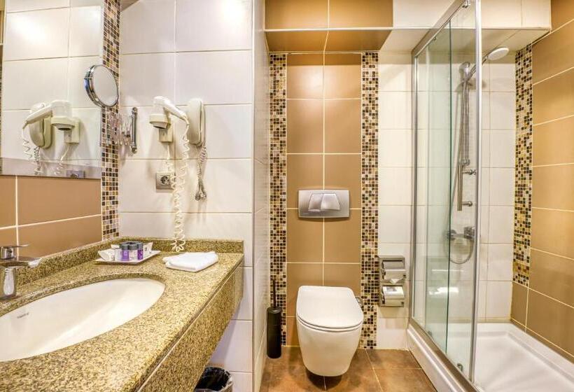 标准间, Best Western Plus Hotel Konak