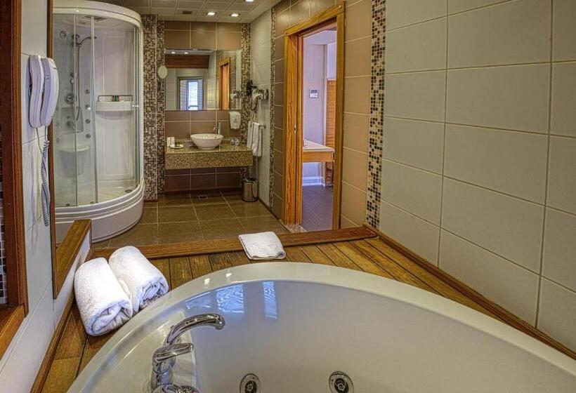 带大床的标准间, Best Western Plus Hotel Konak