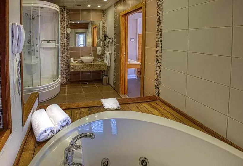 キングサイズベッドのスタンダードルーム, Best Western Plus Hotel Konak