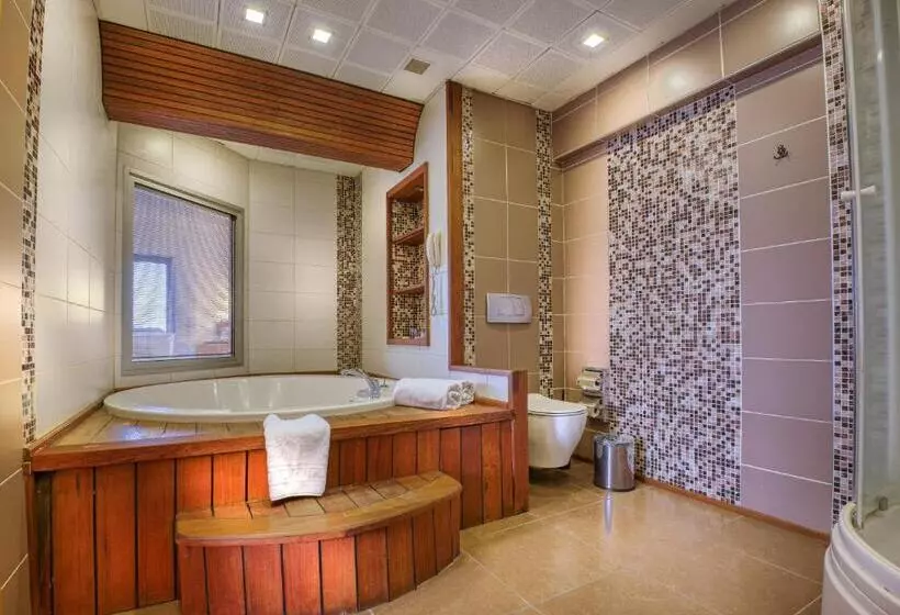 キングサイズベッドのスタンダードルーム, Best Western Plus Hotel Konak