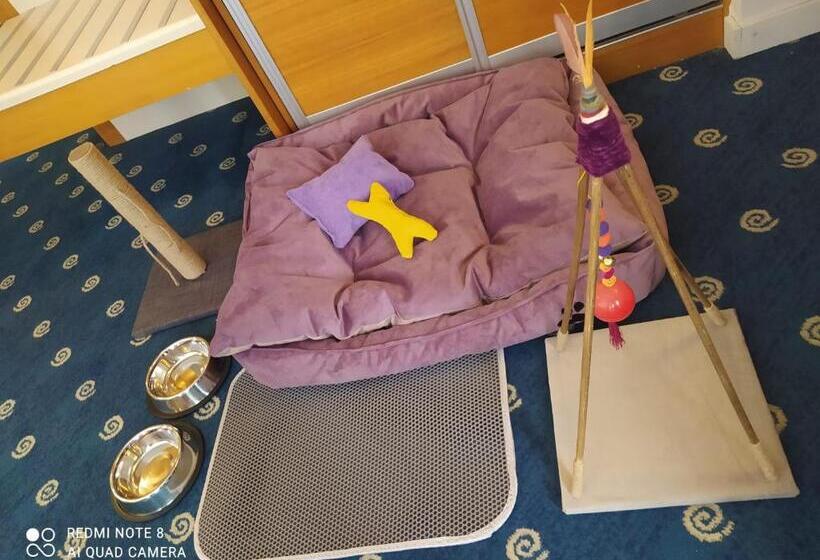 标准间, Best Western Plus Hotel Konak