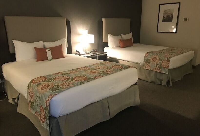 舒适型房间, Coast Kamloops Hotel & Conference Centre