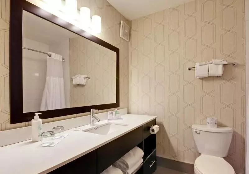 اتاق سوپریور با چشم‌انداز, Coast Kamloops Hotel & Conference Centre