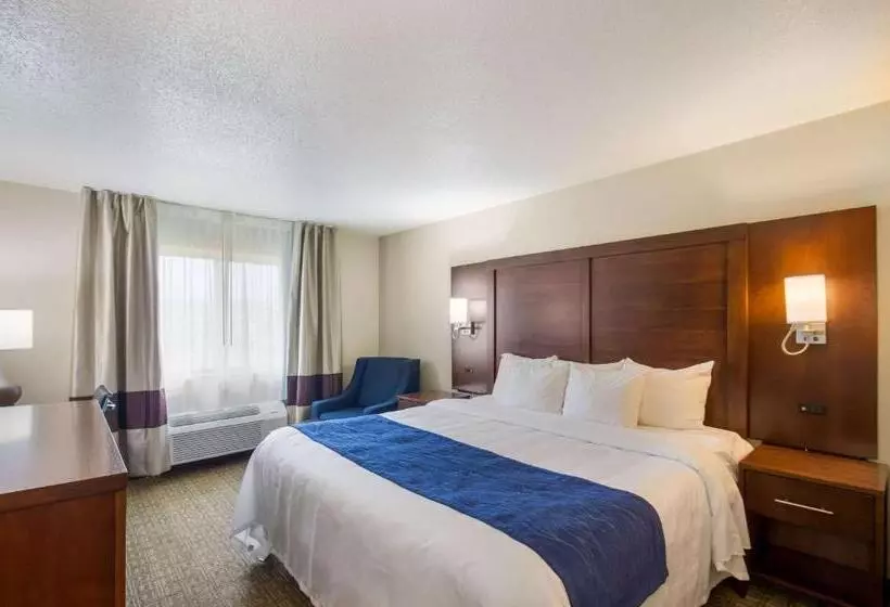 اتاق استاندارد با تخت بزرگ, Quality Inn & Suites