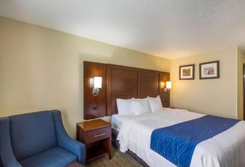 اتاق استاندارد با تخت بزرگ, Quality Inn & Suites